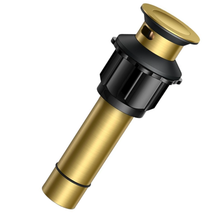 Pop-Up Drain With Overflow 2 piece