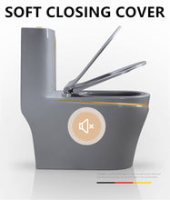 One Piece Toilet Bowl SKU: 8676GG- Soft Close Seat with High Efficiency Dual Flush in Grey/Gold. Dual-Flush