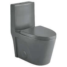Dual-Flush Elongated One Piece Toilet Bowl - Soft Close Seat with High Efficiency Dual Flush in Black