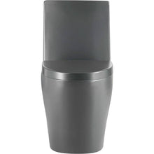 Dual-Flush Elongated One Piece Toilet Bowl - Soft Close Seat with High Efficiency Dual Flush in Black