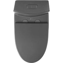 Dual-Flush Elongated One Piece Toilet Bowl - Soft Close Seat with High Efficiency Dual Flush in Black