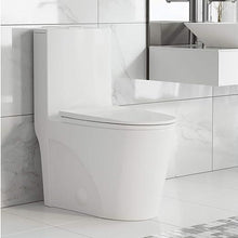 Dual-Flush Elongated One Piece Toilet Bowl - Soft Close Seat with High Efficiency Dual Flush in White